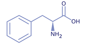 L-phenylalanine visual