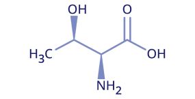 L-threonine visual