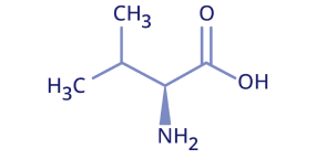 L-valine visual