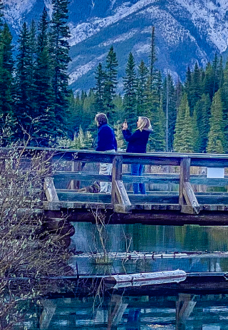 couple on bridge in a beautiful forest