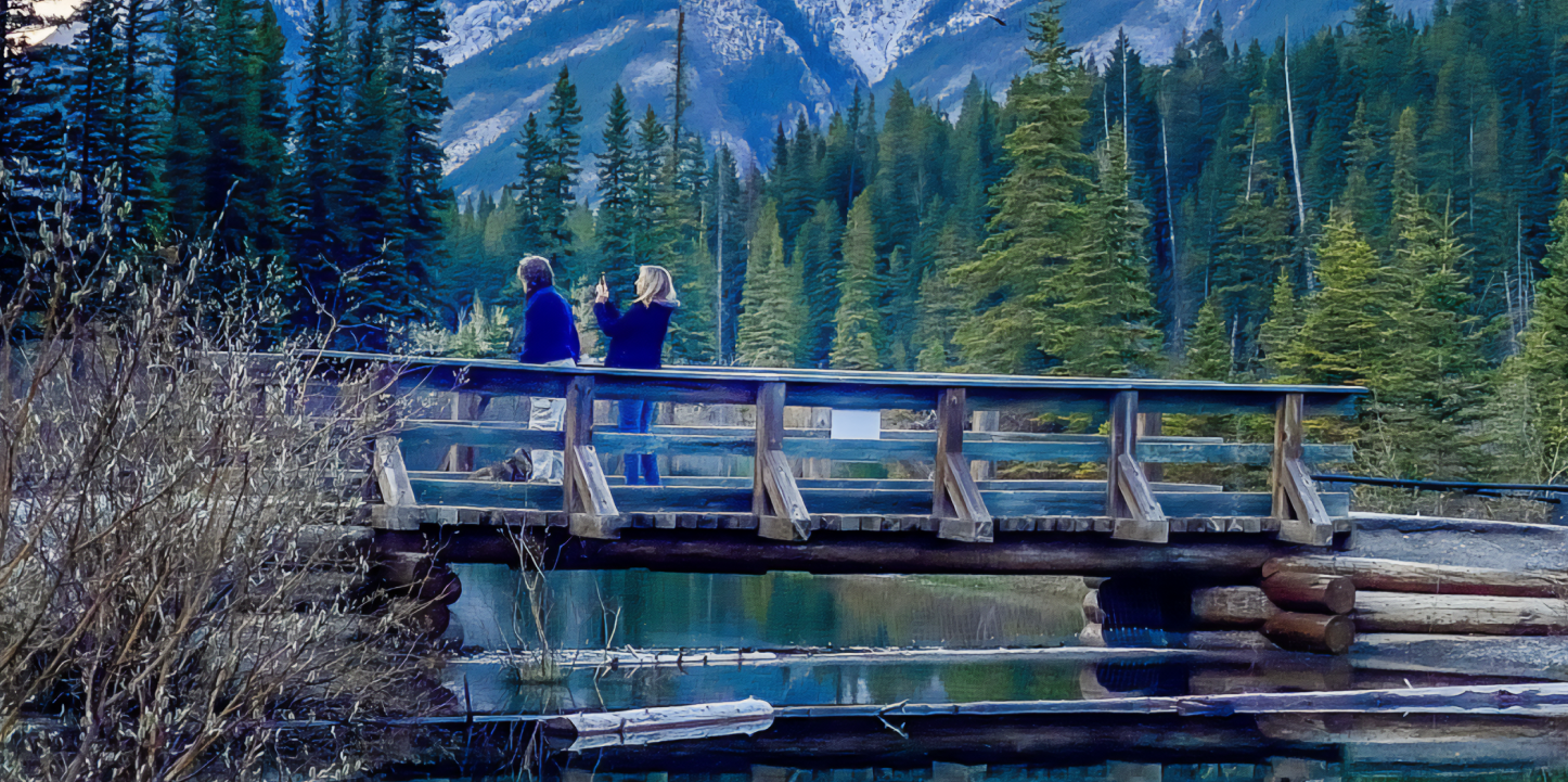 couple on bridge in a beautiful forest (large)